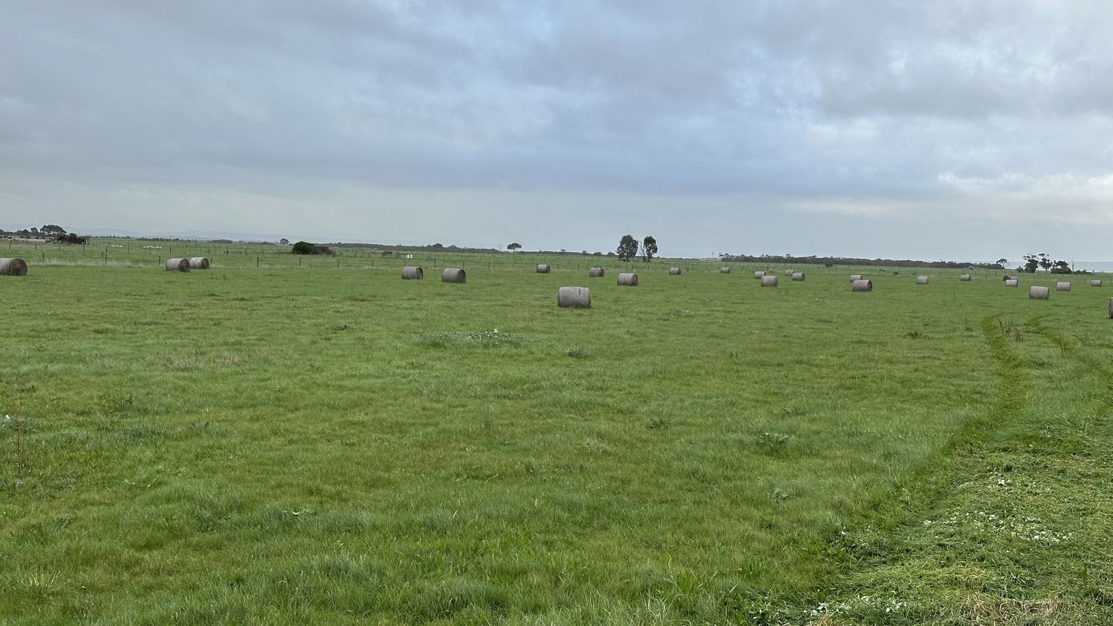 Pasture with freshly baled hay across the property